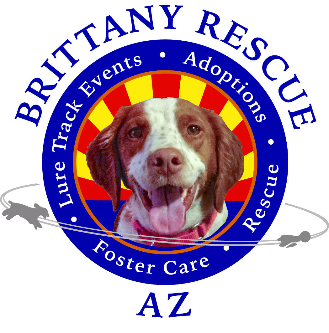 Official Logo Indy 2- Arizona Brittany Rescue